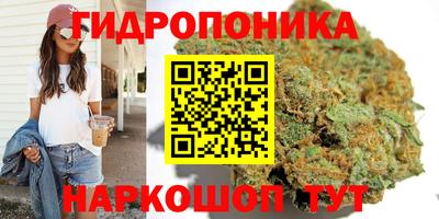 МДПВ Наро-Фоминск