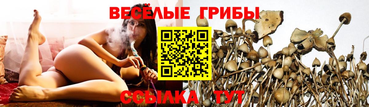 Галлюциногенные грибы мухоморы Чернушка