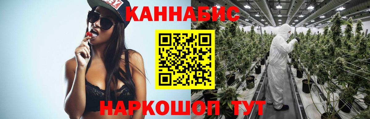 Шишки марихуана THC 21%  Вход с VPN  Конопля марихуана  Чернушка  Каннабис VHQ  Бошки марихуана марихуана 